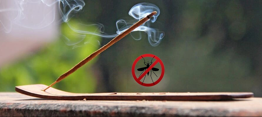Best Incense Sticks for Mosquito Repellent