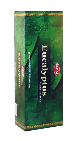 Eucalyptus Incense Sticks by HEM