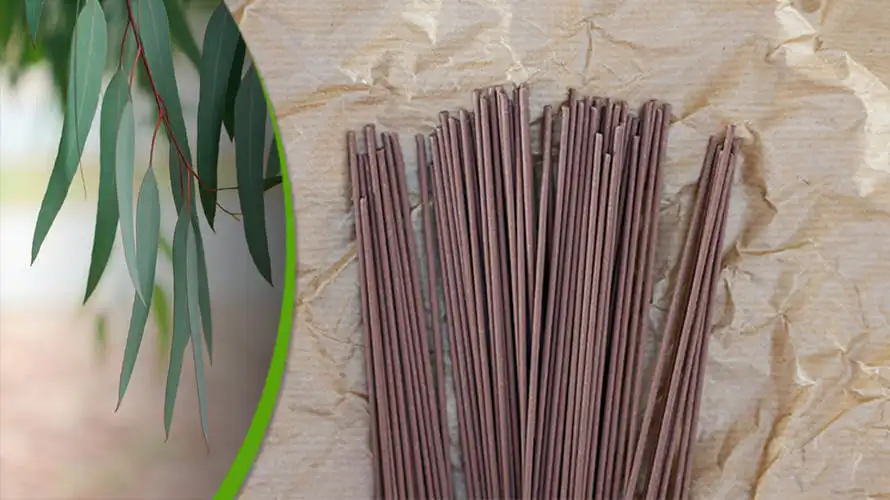 Eucalyptus Incense Sticks Benefits