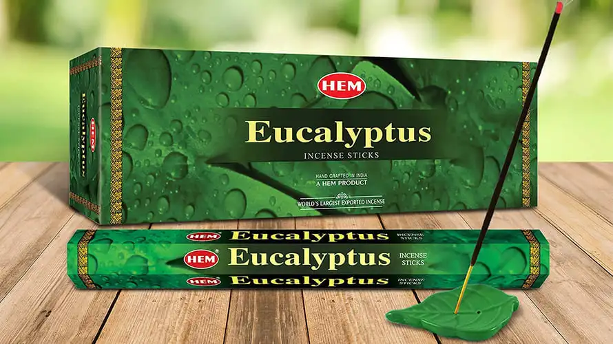 HEM Eucalyptus Incense Sticks (120 Sticks)